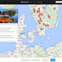 Sidoprojekt – Regnbågsfiske